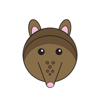 Link to animaru Armadillo