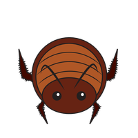 Link to animaru Cockroach