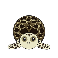 Link to animaru Hawksbill Turtle