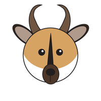 Link to animaru Pronghorn