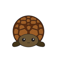 Link to animaru Turtle
