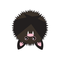 Link to animaru Vampire Bat