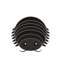 Link to animaru Woodlouse