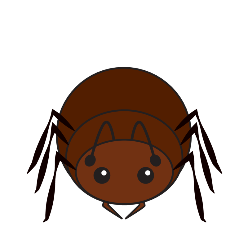 animaru Ant