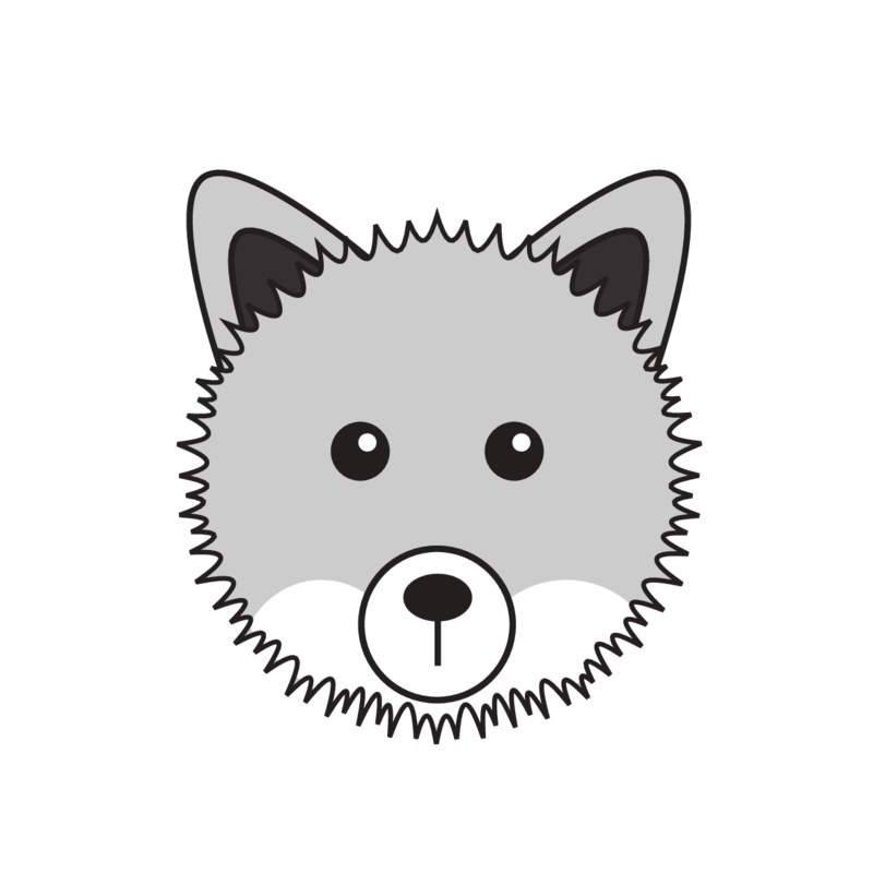 animaru Arctic Fox