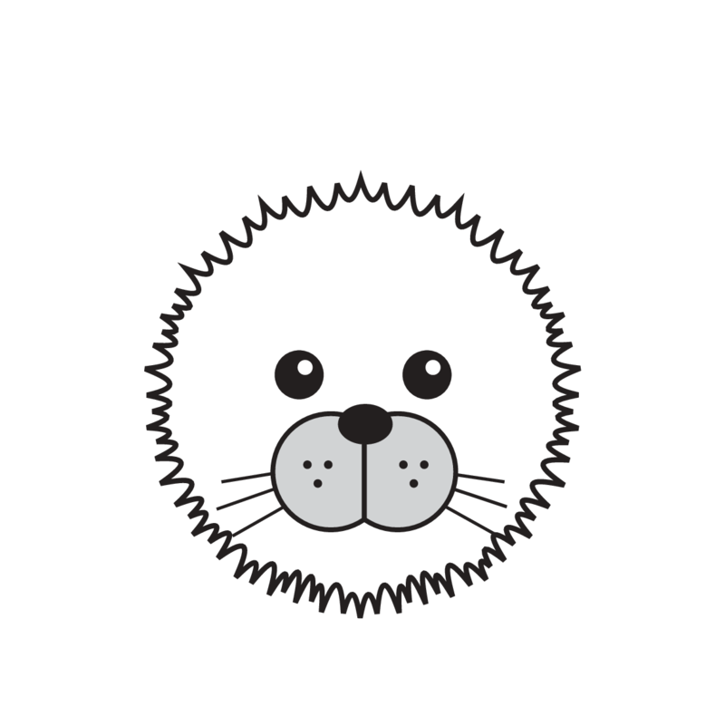 animaru Arctic Seal