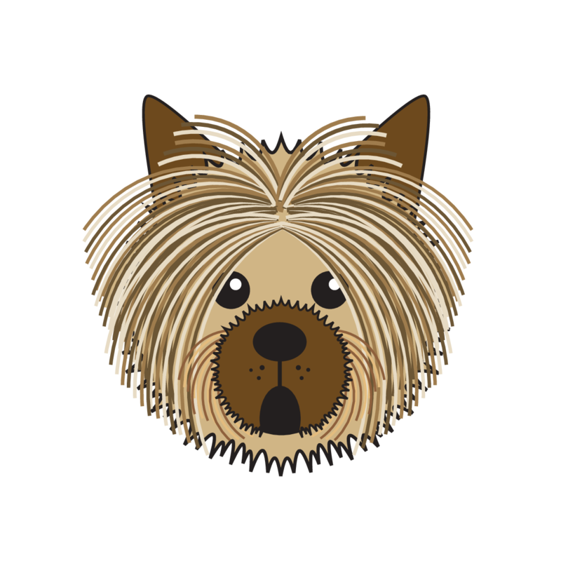 animaru Australian Silky Terrier