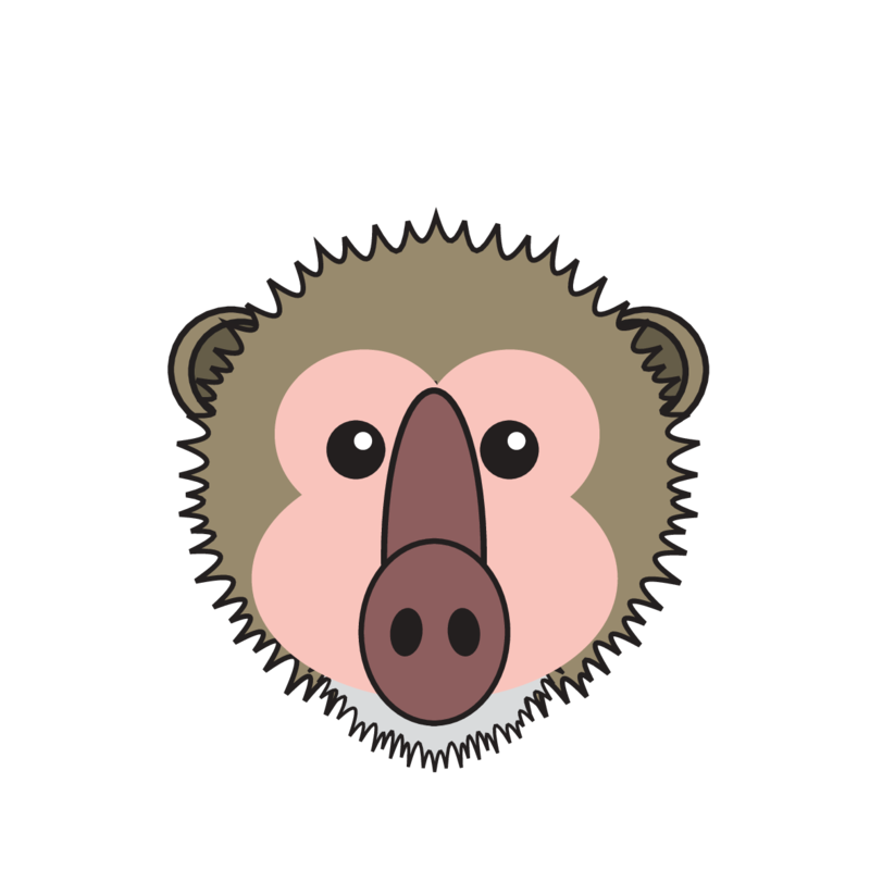 animaru Baboon