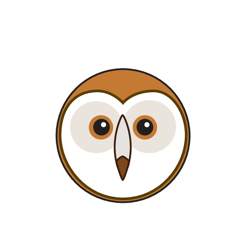 animaru Barn Owl