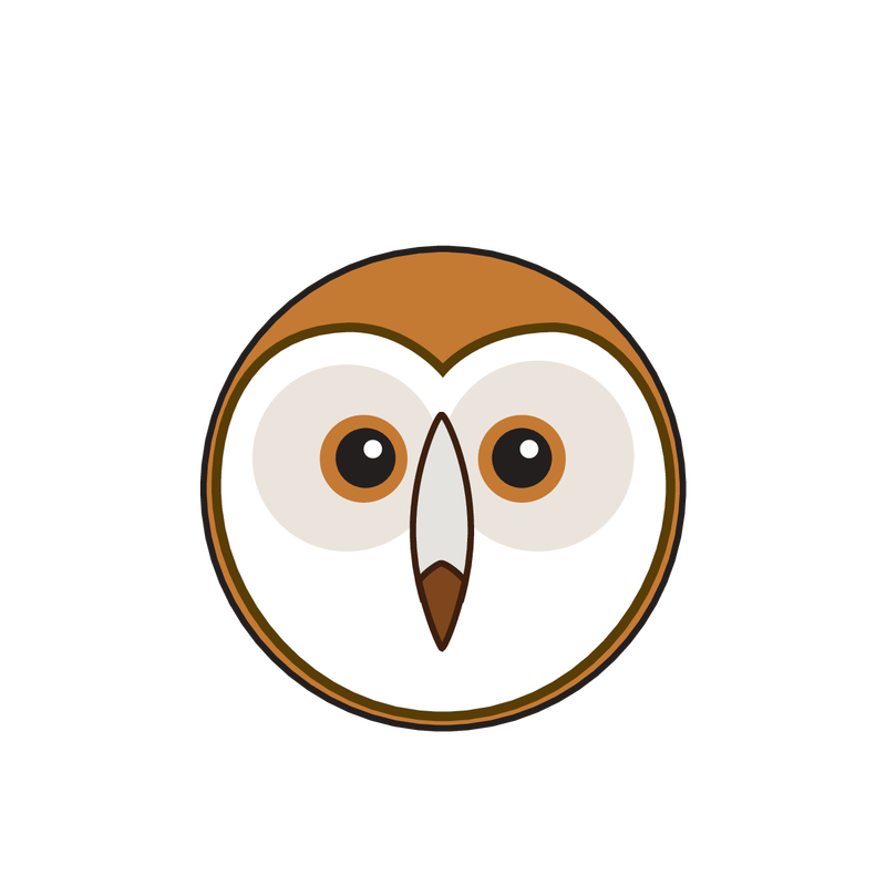 animaru Barn Owl