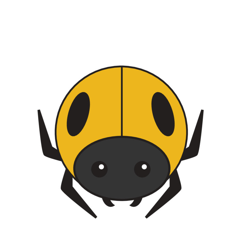 animaru Beetle