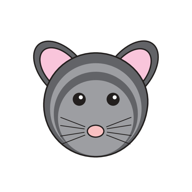 animaru Chinchilla