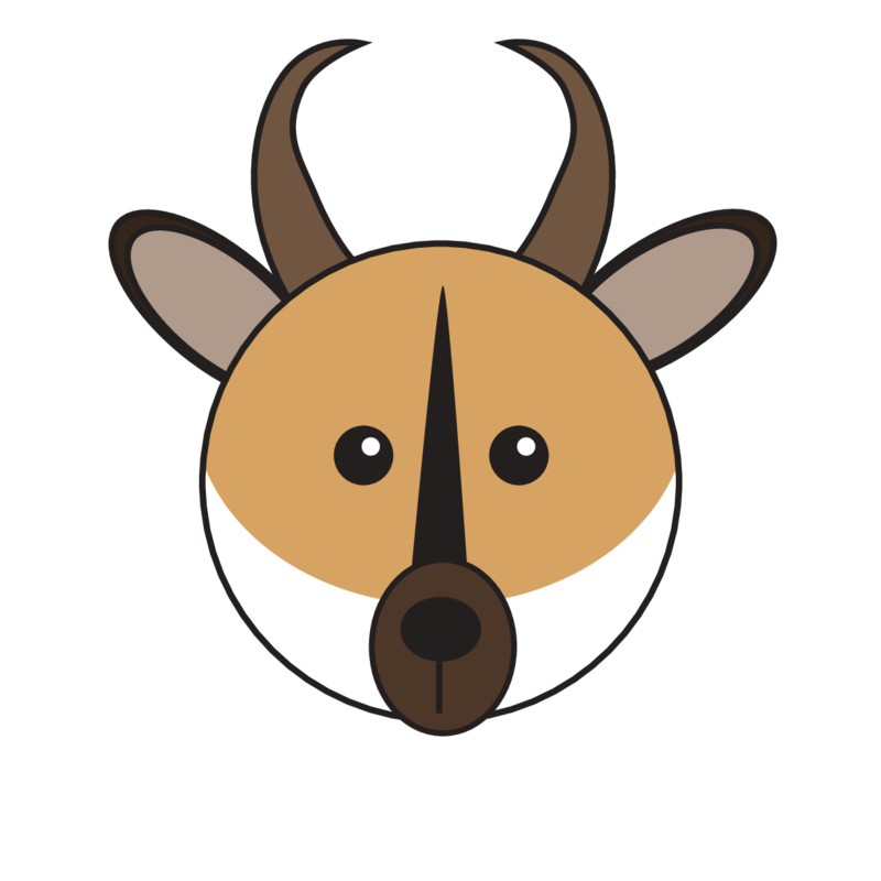 animaru Pronghorn