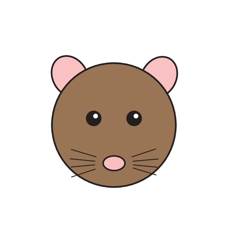 animaru Rat