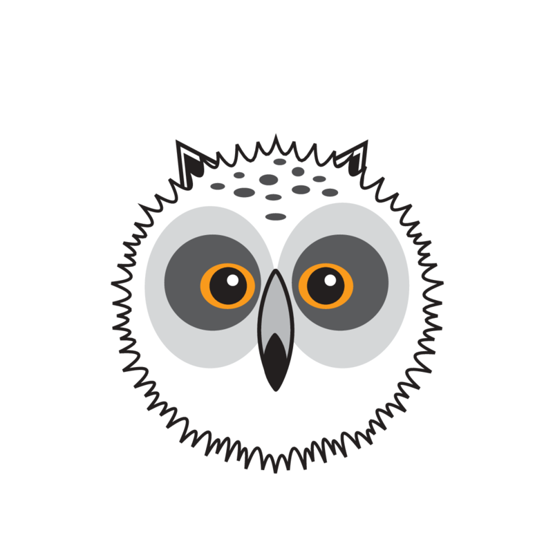 animaru Snowy Owl
