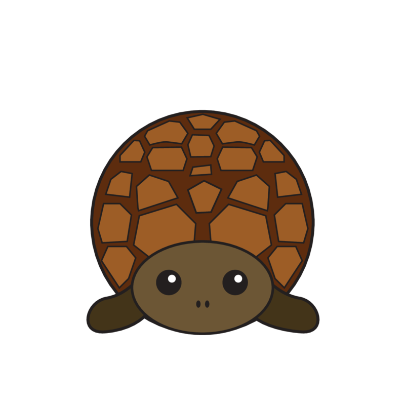animaru Turtle