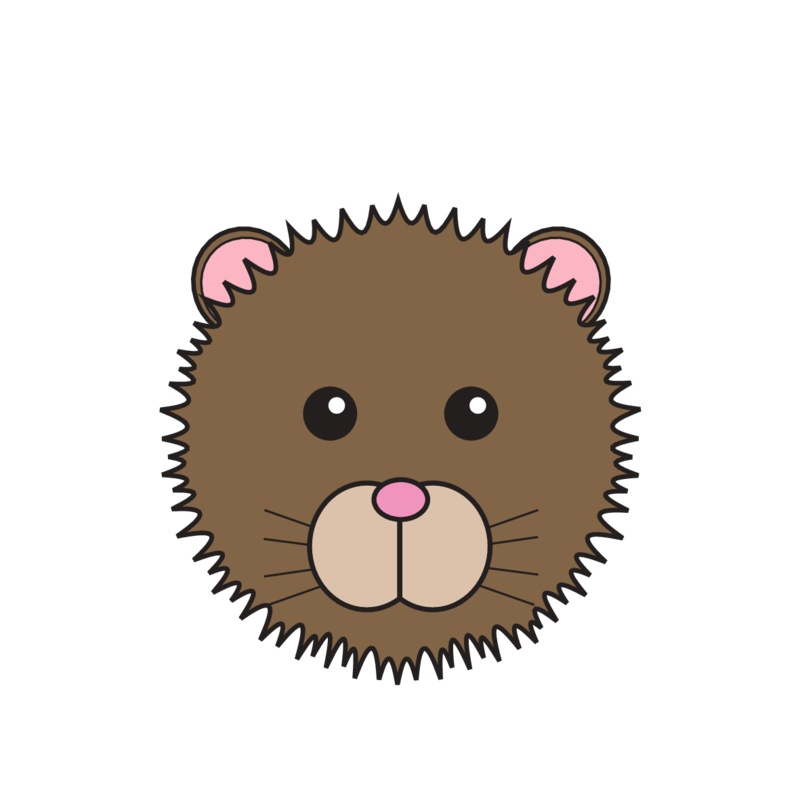 animaru Water Vole
