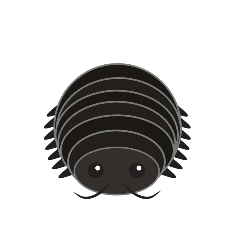 animaru Woodlouse